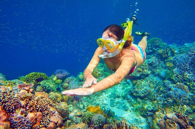 Snorkeling Adventure at Dolphin House Reef & Transfers-Marsa Alam - An In-Depth Look at the Snorkeling Experience in Marsa Alam