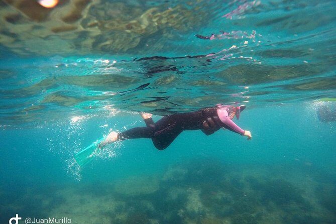 Snorkeling Adventure Cabo Pulmo - What’s Included and What to Expect
