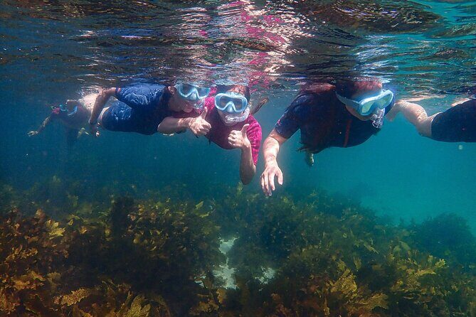 Snorkeling Adventure for Kids with Private Guide In Sydney - Practical Tips for Your Snorkeling Adventure