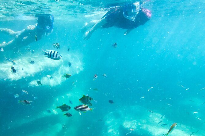 Snorkeling Adventure for Kids with Private Guide In Sydney - The Sum Up: Who Should Consider This Tour?