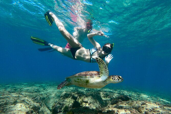 Snorkeling Adventure in Aguadilla - Key Points