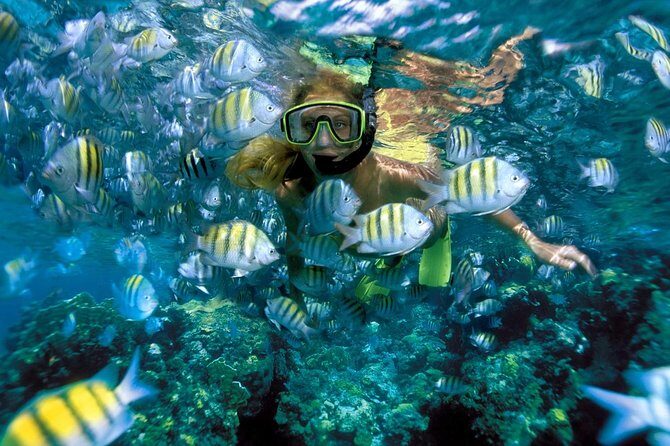 Snorkeling Adventure in Isla Mujeres - Final Thoughts