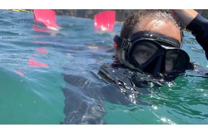 Snorkeling Adventure in La Jolla - FAQ