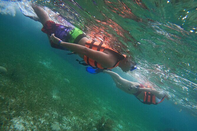 Snorkeling Adventure in Puerto Morelos Includes snack, Water and Round Trip. - A Detailed Look at the Tour Experience