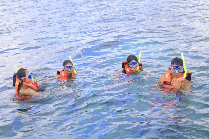 Snorkeling Adventure in Puerto Morelos Includes snack, Water and Round Trip. - Who Will Love This Tour?