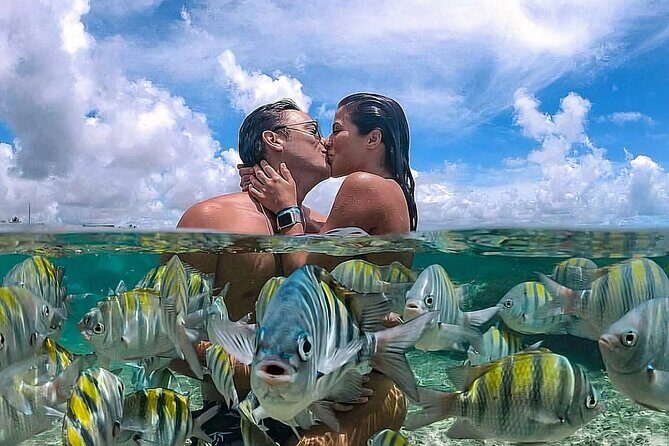 Snorkeling Adventure in Tulum Beach, Kaan Luum Lagoon and Cenote - Key Points