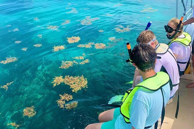 Snorkeling Adventure in Tulum Beach, Kaan Luum Lagoon and Cenote - Who Should Book This Tour?