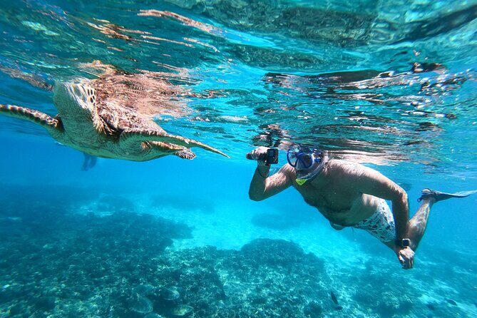 Snorkeling Adventure to Daymaniat Islands - Exploring the Itinerary in Detail