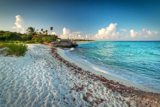 Snorkeling Adventure Tour Reef & Cenote - What to Expect From Your Snorkeling Tour in Tulum