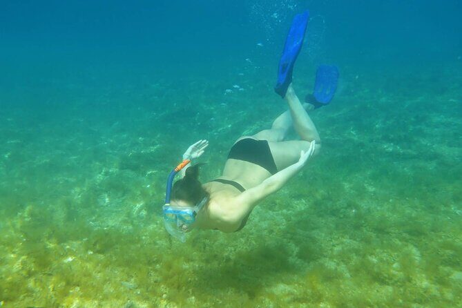 Snorkeling Adventure with East Nusa Penida Tour All Inclusive - The Sum Up: Who Will Love This Tour?