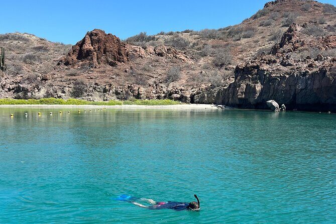 Snorkeling Adventure with Picnic from Villa del Palmar Hotel - Key Points