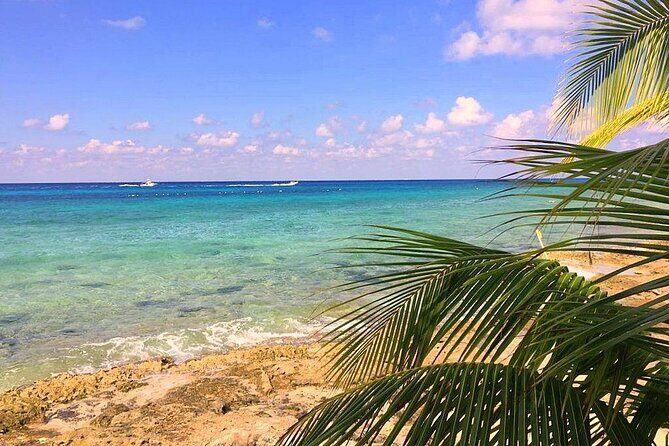 Snorkeling and Beach Club Access in Cozumel with Lunch - Authenticity and Experience