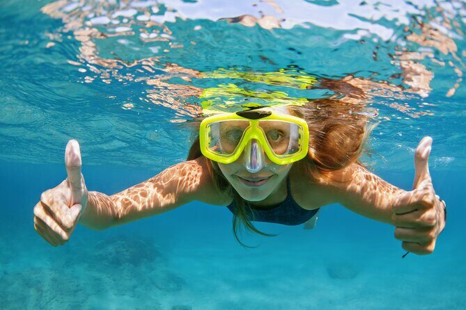 Snorkeling and Dolphin Watching Experience in Destin - Who Will Love This Tour?