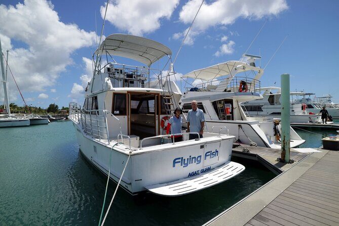 Snorkeling and Dolphin Watching with Lunch Package - Analyzing the Value