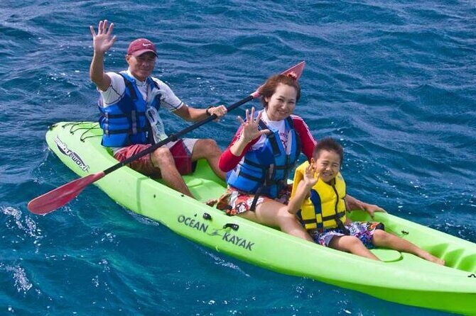 Snorkeling and Dolphin Watching with Lunch Package - Who Should Consider This Tour?