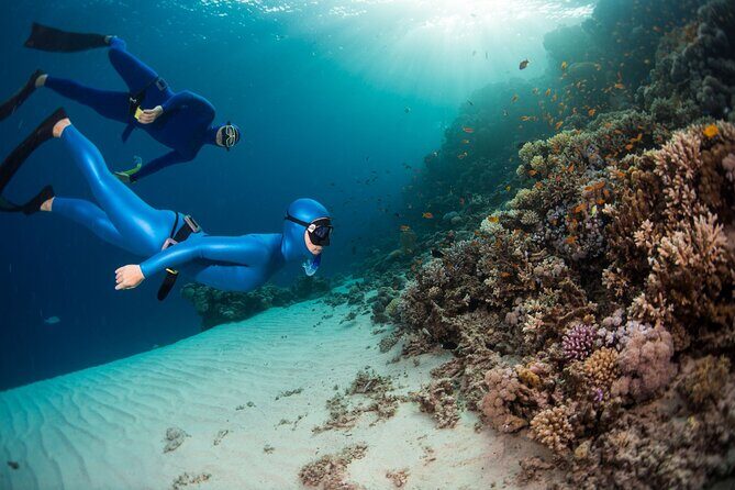 Snorkeling and Freediving Trip around Nusa Penida - What to Expect: A Day in the Life of a Marine Explorer