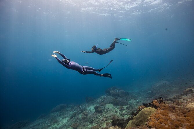 Snorkeling and Freediving Trip around Nusa Penida - FAQ