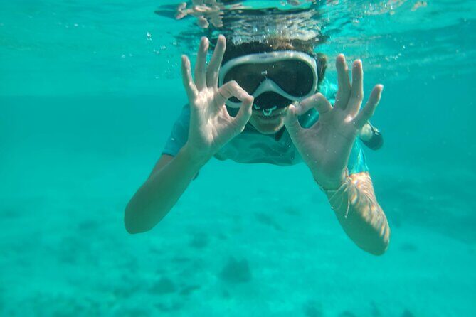 Snorkeling and Grilling Fresh Fish at Donkey Beach - A Detailed Breakdown of the Experience