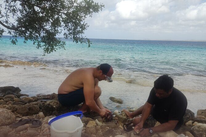 Snorkeling and Grilling Fresh Fish at Donkey Beach - Practical Tips for Participants