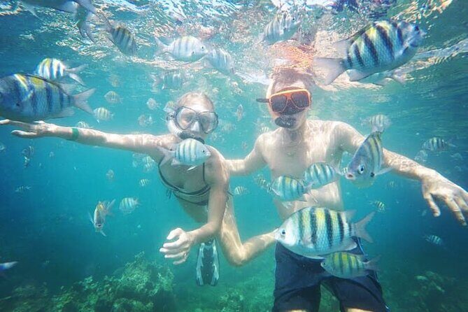 Snorkeling and Shopping in Montego Bay with Hotel pickup - What to Expect: A Close Look at the Tour Experience