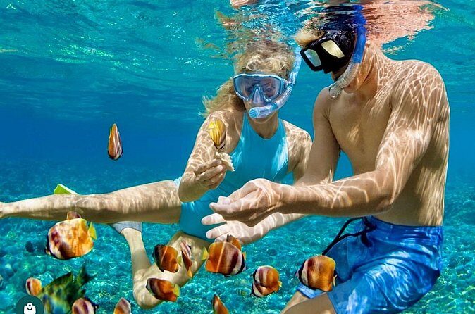 Snorkeling and Shopping in Montego Bay with Hotel pickup - Final Thoughts: Is It Worth It?