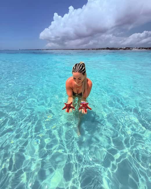 Snorkeling and swimming with dolphins at mnemba island - The Marine Environment and Wildlife Spotting