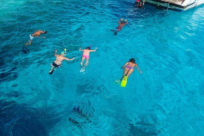 Snorkeling and white island tour in Sharm El Sheikh - Final Thoughts