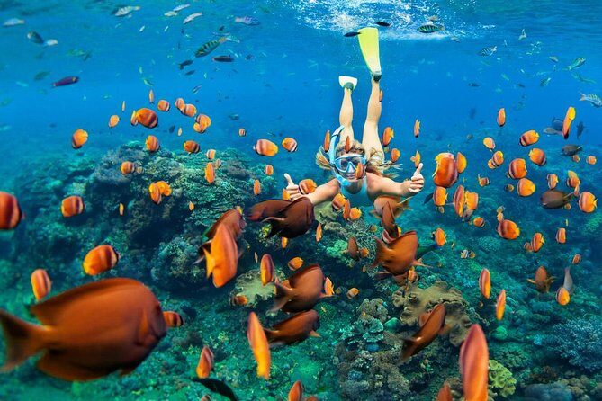 Snorkeling at Blue Lagoon Bali with Lunch and Transport - Key Points