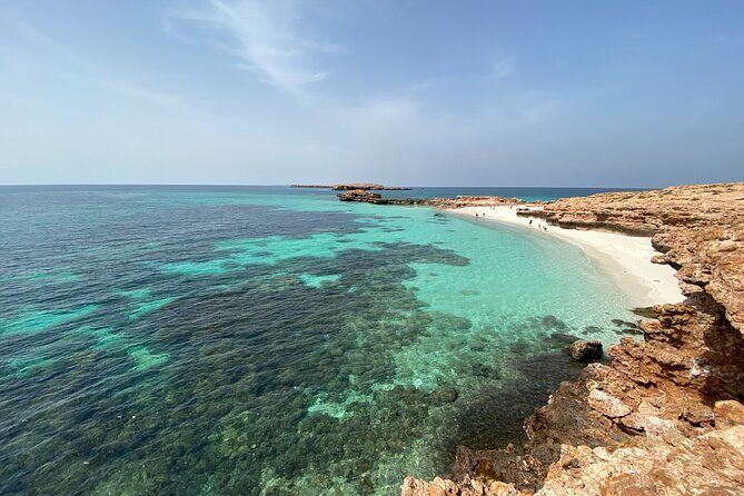 Snorkeling at Dimaniyat Islands and Dolphin Watching - Cost & Value