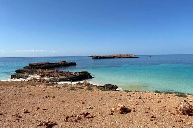 Snorkeling at Dimaniyat Islands and Dolphin Watching - The Sum Up