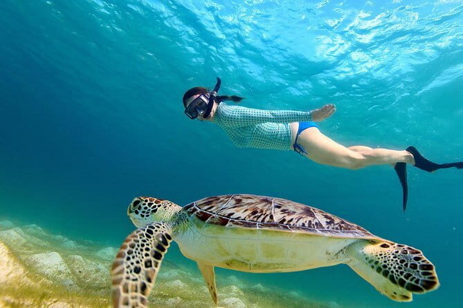 Snorkeling at Hikkaduwa - Key Points