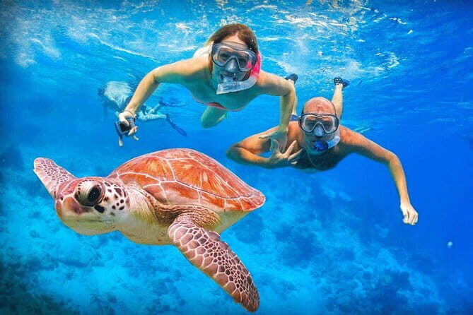 Snorkeling at Hikkaduwa - What to Expect from the Snorkeling at Hikkaduwa Tour