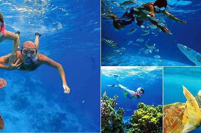 Snorkeling at Hikkaduwa - FAQ