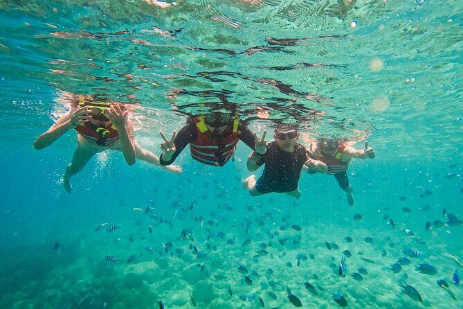 Snorkeling at Nha Trang Bay - Key Points