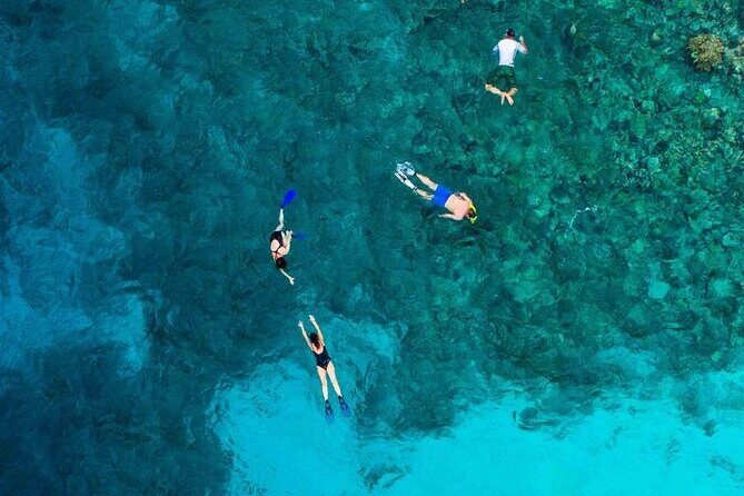 Snorkeling at Nha Trang Bay - Final Thoughts: Why Choose This Tour?
