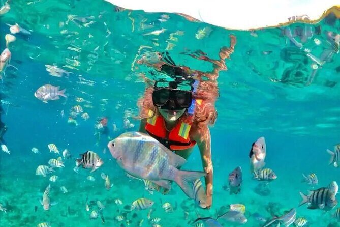 Snorkeling at Nha Trang Bay - FAQs