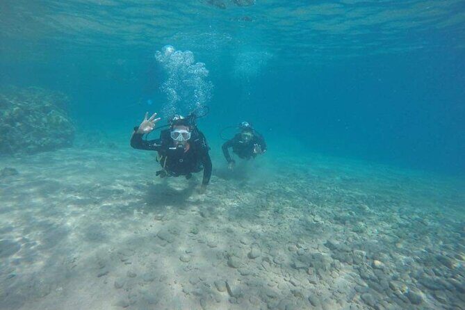 Snorkeling at Ras Mohamed in Sharm El Sheikh - Introduction: An Ideal Day for Snorkel Enthusiasts
