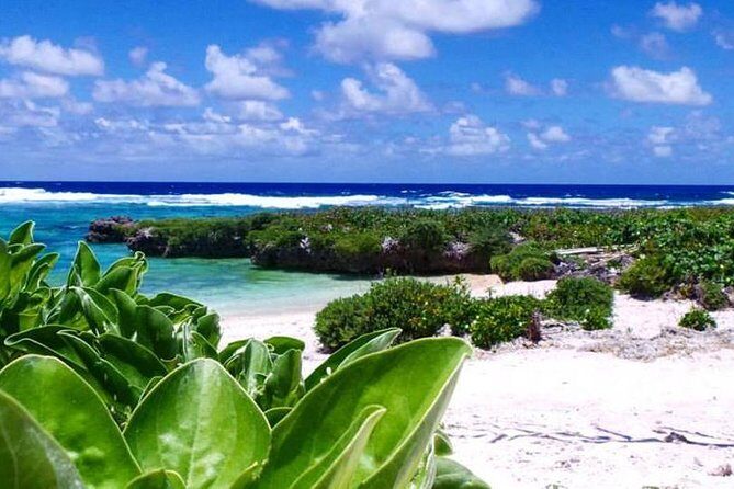 Snorkeling at Top Rock with Yumi Tours - The Itinerary: What to Expect