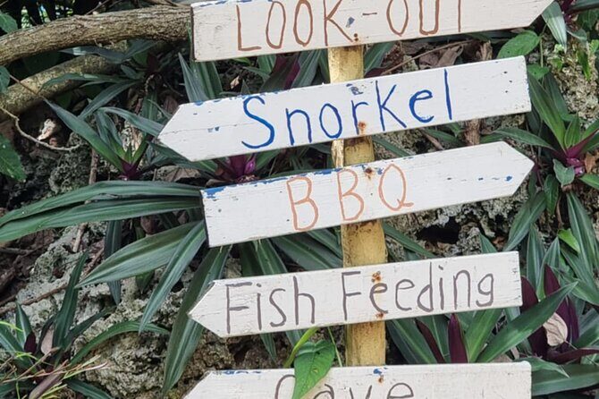 Snorkeling at Top Rock with Yumi Tours - What the Reviews Tell Us