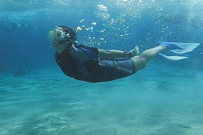 Snorkeling at White Island & Ras Mohammed - Sharm El-Sheikh - The Sum Up