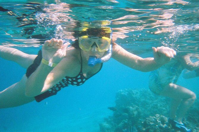 Snorkeling by Boat to Ras Mohamed and White island excursion in Sharm - Frequently Asked Questions