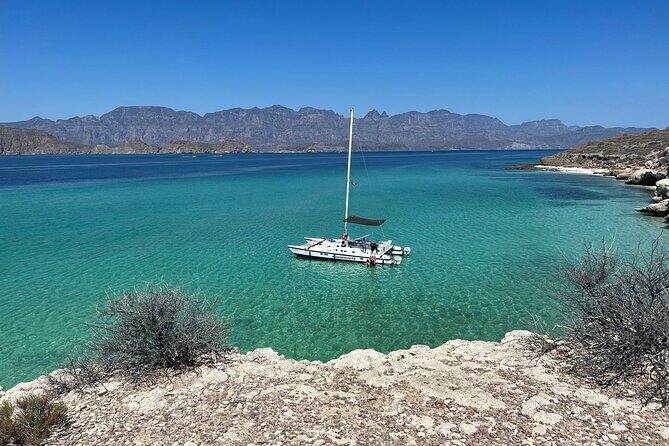 Snorkeling Catamaran Island Cruise - Stop 1: The Sea of Cortez