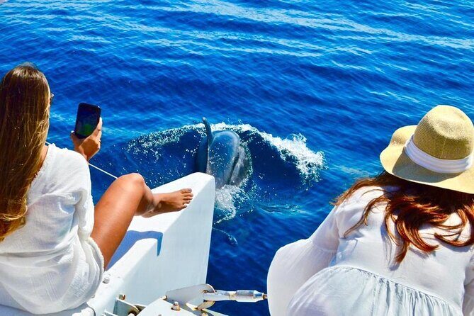 Snorkeling Catamaran Tour at Santa Maria Bay - The Thrust of the Experience: What Works Well