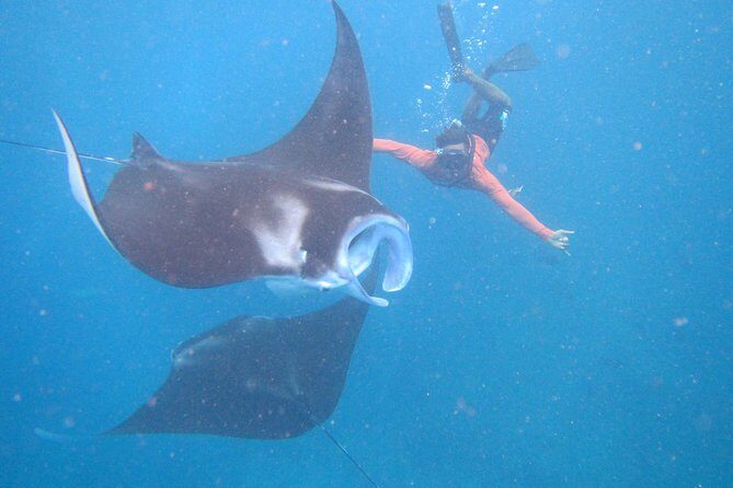 Snorkeling Day Trip To Lembongan and Penida - Introduction