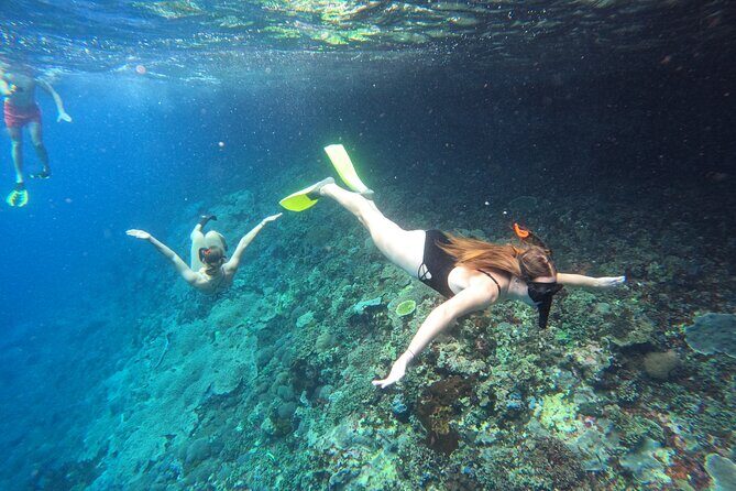 Snorkeling Day Trip to Nusa Lembongan and Nusa Penida - Exploring the Snorkeling Day Trip to Nusa Lembongan and Nusa Penida