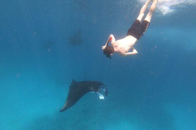 Snorkeling Day Trip to Nusa Lembongan and Nusa Penida - What Travelers Say: Authentic Feedback