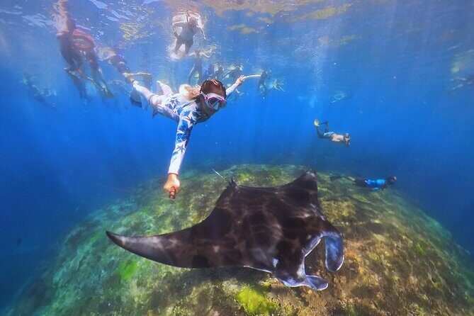 Snorkeling Day Trip to Nusa Lembongan and Nusa Penida - FAQ
