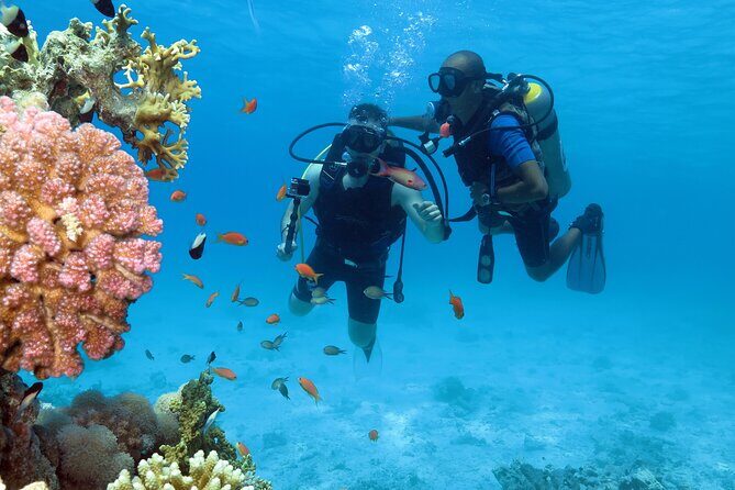 Snorkeling Day White Island & Ras Mohamed With Top VIP yacht - An Overview of the Experience