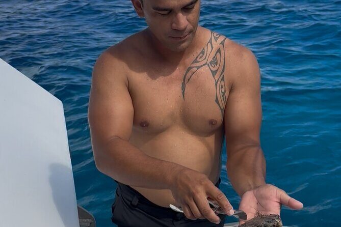 Snorkeling Discovery DE the Black Pearl and Lunch in Bora Bora - Snorkeling and Marine Life