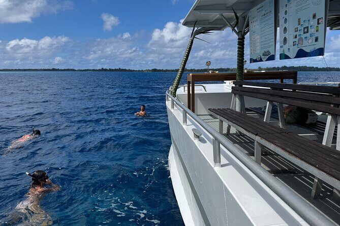 Snorkeling Discovery DE the Black Pearl and Lunch in Bora Bora - Lunch and Logistics